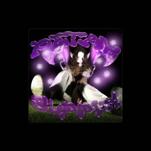 imagen de Petal Supply en directo