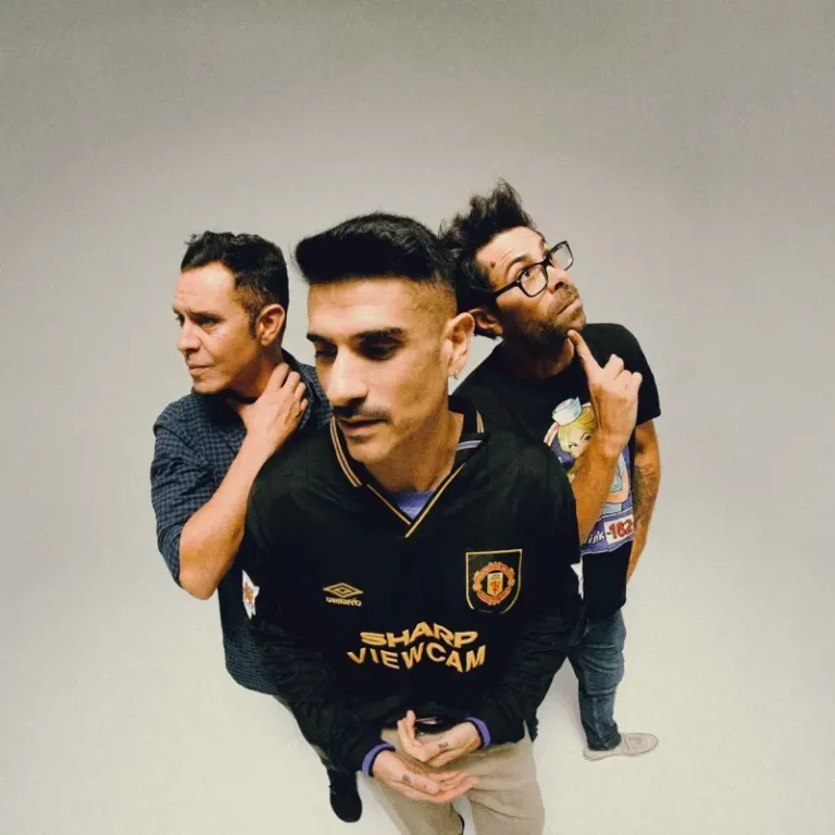 imagen de Pignoise en directo