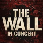 Cartel y entradas de Pink Floyd Tribute Concert en VB Spaces (Alicante) - Qconciertos