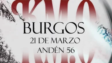 imagen del concierto de POLE. en Burgos en burgos