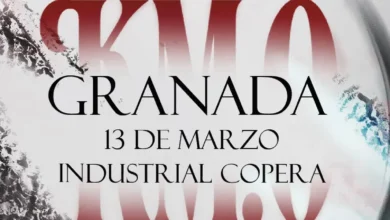 imagen del concierto de POLE. en Granada en la zubia