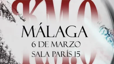 imagen del concierto de POLE. en Málaga en málaga