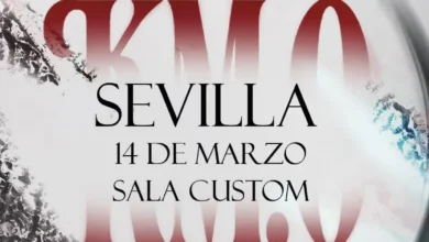 imagen del concierto de POLE. en Sevilla en sevilla