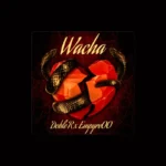 imagen de Reyes02 en directo