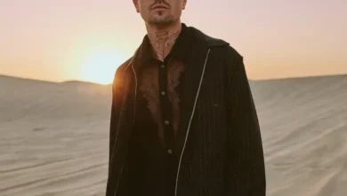 imagen de Robin Schulz en directo