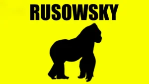imagen del concierto de rusowsky Concert en la zubia