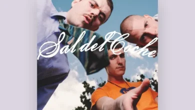 imagen de Sal del Coche en directo