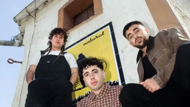 imagen del concierto de Sanguijuelas del Guadiana Concert en adra