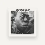 imagen de SD Kong en directo