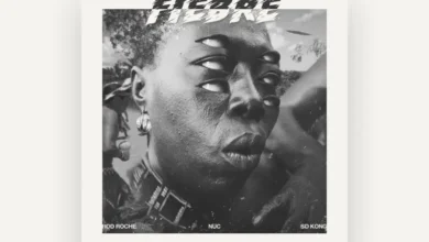 imagen de SD Kong en directo