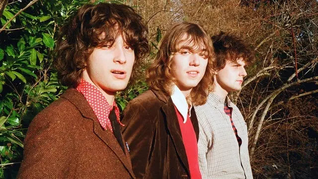 imagen del concierto de Sharp Pins Concert en madrid