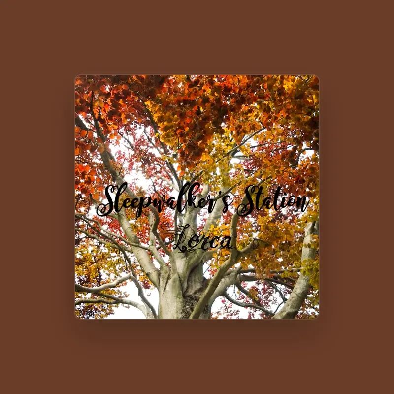 Sleepwalker’s Station