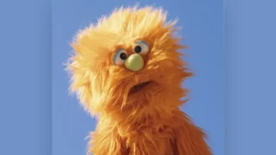 imagen de Sobrezero en directo