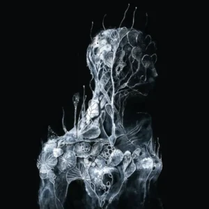 imagen de Soen en directo