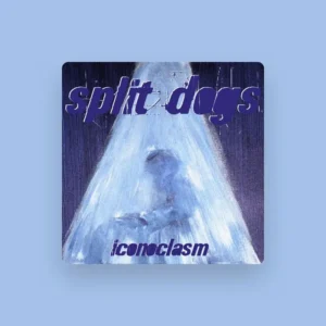 imagen de Split Dogs en directo