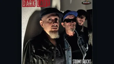 imagen del concierto de Stormy Trucks Concert en platja de gandia