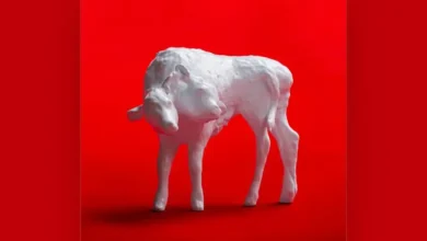 imagen de Supergloss en directo