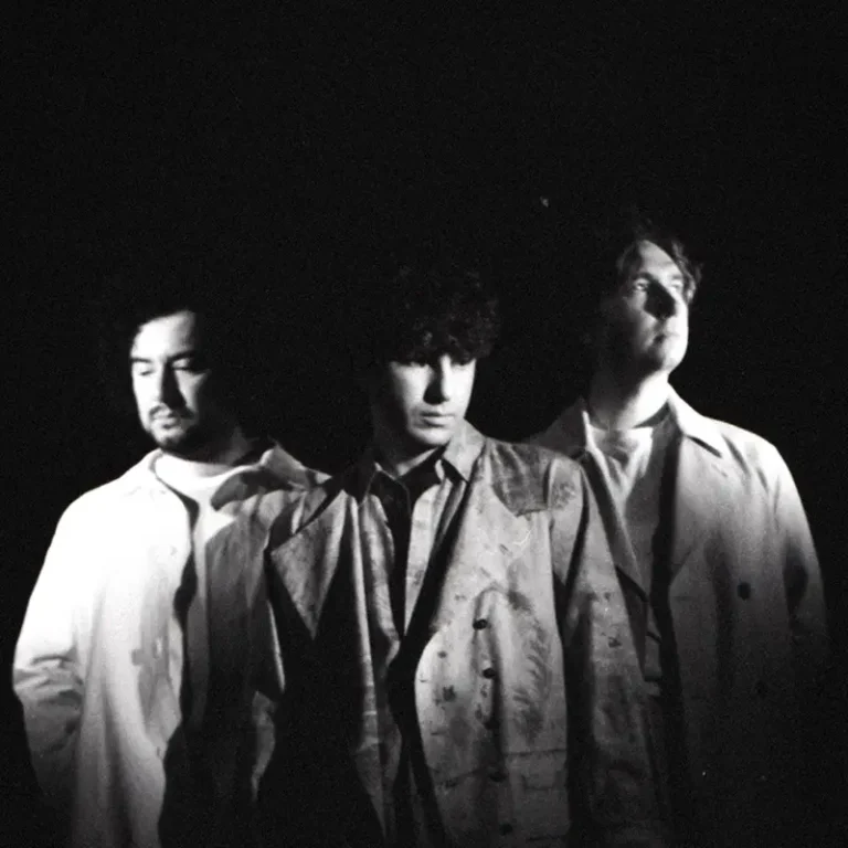 imagen de The Kooks en directo