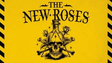 imagen del concierto de The New Roses Concert en burgos