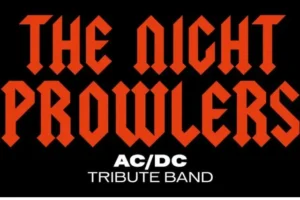 imagen de The Night Prowlers en directo