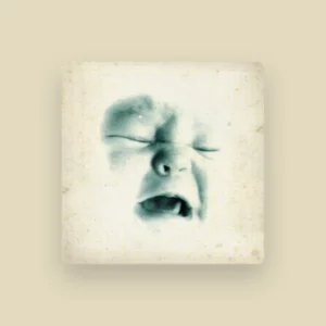 imagen de The Soundtrack of Our Lives en directo