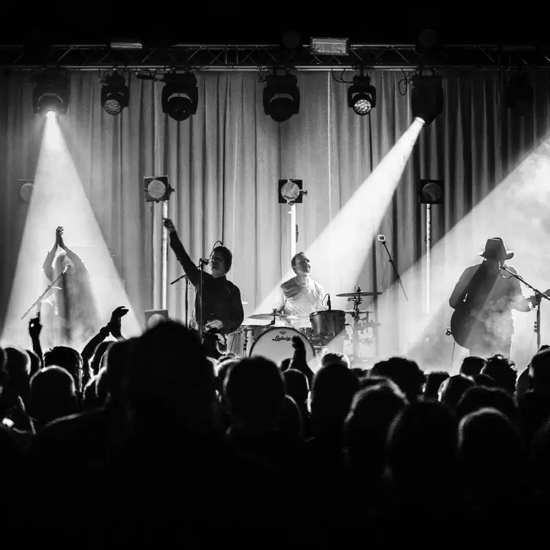 The Temperance Movement