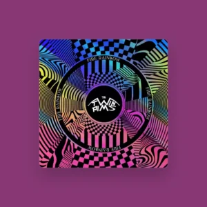 imagen de The Twinpims en directo