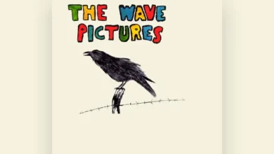 imagen de The Wave Pictures en directo