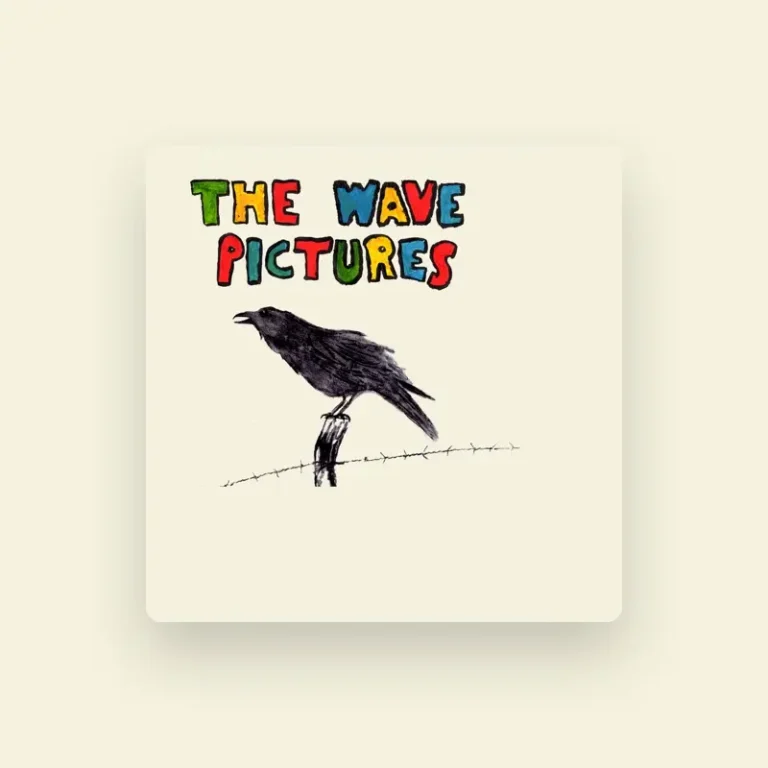 imagen de The Wave Pictures en directo