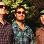 imagen del concierto de The Wave Pictures Concert en madrid