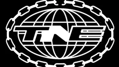 imagen de TNE en directo