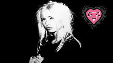 imagen del concierto de Transvision Vamp Concert en las rozas de madrid