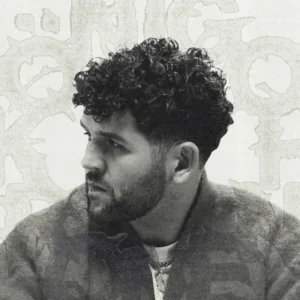 imagen de Vega en directo