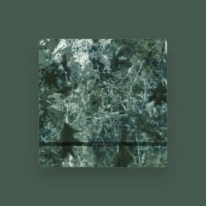 imagen de Voices from The Lake en directo