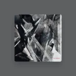 imagen de VRIL en directo