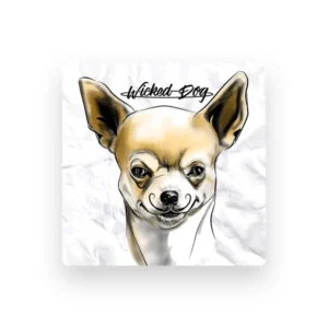 imagen de Wicked Dog en directo