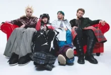 imagen del concierto de 5 Seconds of Summer Concert en madrid