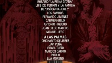 Festival Flamenco - Teatro Villamarta 29 Enero