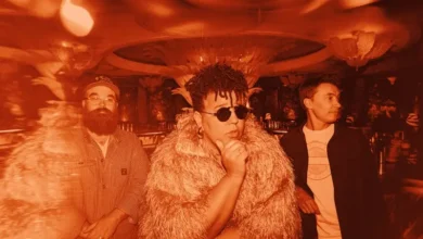 imagen del concierto de Alabama Shakes Concert en bilbao