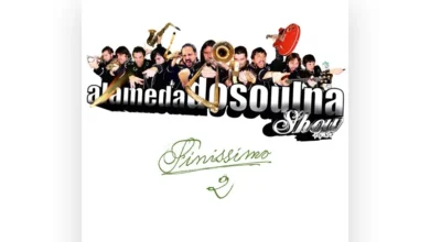 imagen del concierto de AlamedaDosoulna Concert en madrid
