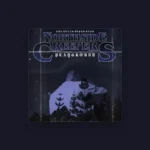 imagen del concierto de Amma en barcelona