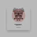 imagen del concierto de Anika Kunst en barcelona