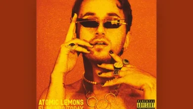 imagen del concierto de Atomic Lemons Concert en santander