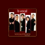 imagen del concierto de B Vocal Concert en madrid