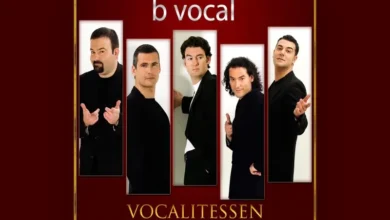 imagen del concierto de B Vocal Concert en madrid