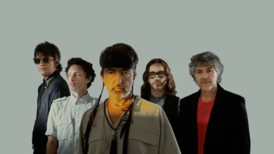 imagen del concierto de Babasónicos Concert en valencia