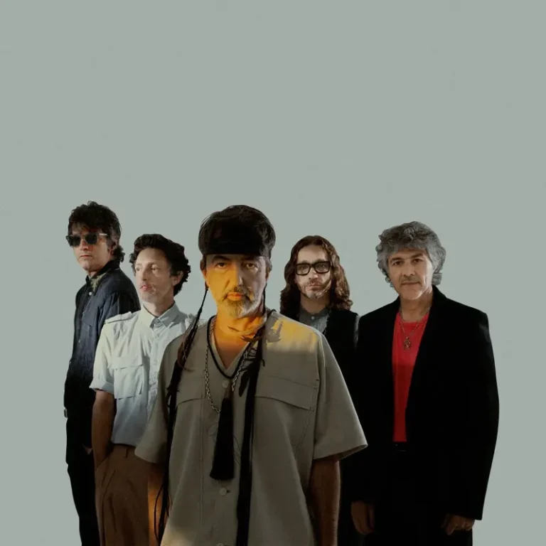 imagen del concierto de Babasónicos Concert en valencia