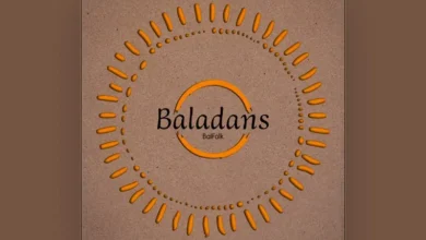 imagen del concierto de Baladans Concert en el astillero
