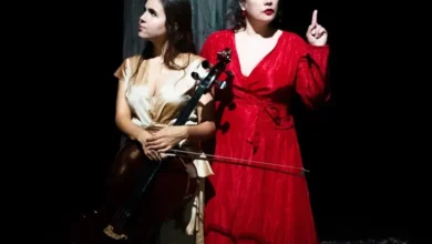 imagen del concierto de Birds on a Wire Concert en santa cruz de tenerife