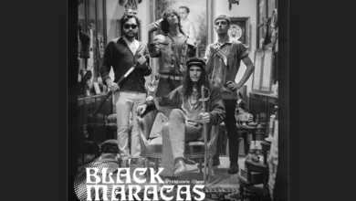 imagen del concierto de Black Maracas en viveiro